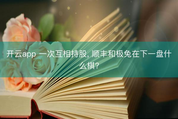 开云app 一次互相持股， 顺丰和极兔在下一盘什么棋?