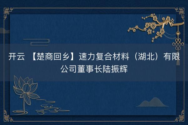 开云 【楚商回乡】速力复合材料（湖北）有限公司董事长陆振辉