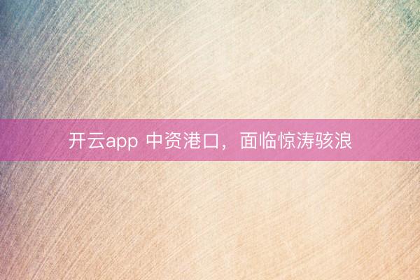 开云app 中资港口,面临惊涛骇浪