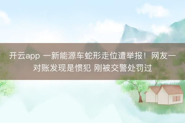 开云app 一新能源车蛇形走位遭举报！网友一对账发现是惯犯 刚被交警处罚过