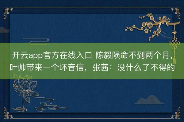 开云app官方在线入口 陈毅陨命不到两个月，叶帅带来一个坏音信，张茜：没什么了不得的
