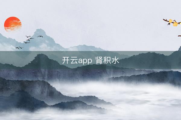 开云app 肾积水