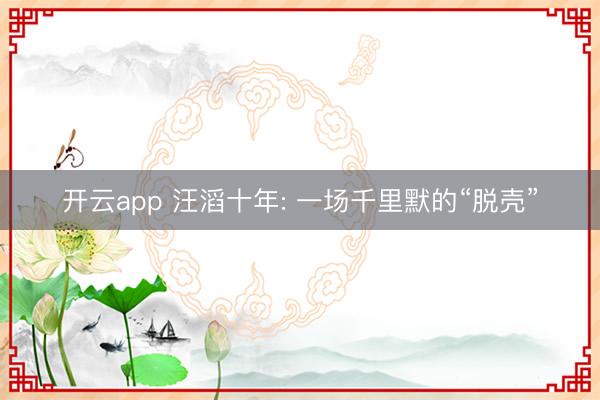 开云app 汪滔十年: 一场千里默的“脱壳”