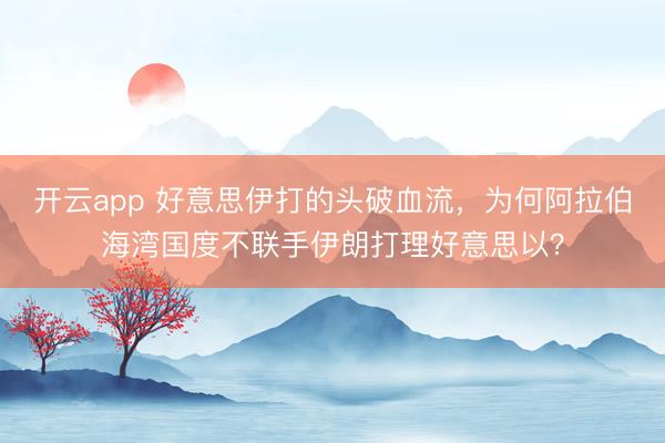 开云app 好意思伊打的头破血流,为何阿拉伯海湾国度不联手伊朗打理好意思以?