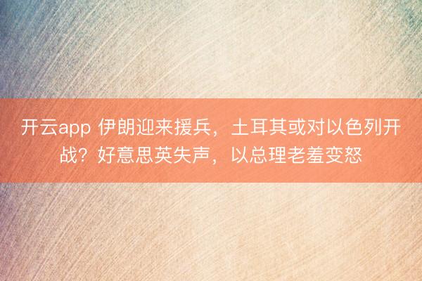 开云app 伊朗迎来援兵，土耳其或对以色列开战？好意思英失声，以总理老羞变怒
