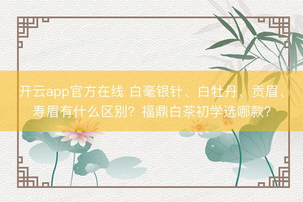 开云app官方在线 白毫银针、白牡丹、贡眉、寿眉有什么区别?福鼎白茶初学选哪款?
