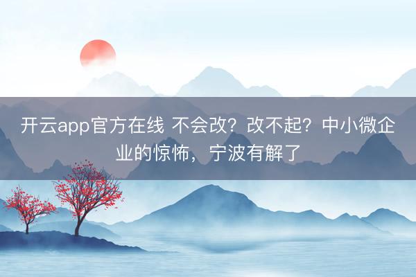 开云app官方在线 不会改？改不起？中小微企业的惊怖，宁波有解了