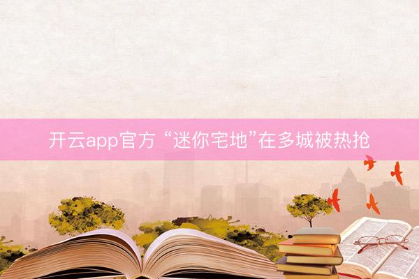 开云app官方 “迷你宅地”在多城被热抢