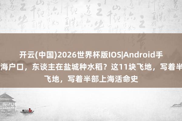 开云(中国)2026世界杯版IOS|Android手机app下载 上海户口，东谈主在盐城种水稻？这11块飞地，写着半部上海活命史