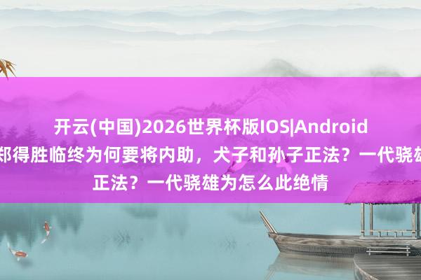 开云(中国)2026世界杯版IOS|Android手机app下载 郑得胜临终为何要将内助，犬子和孙子正法？一代骁雄为怎么此绝情