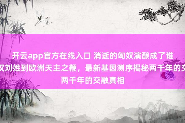 开云app官方在线入口 消逝的匈奴演酿成了谁？从大汉刘姓到欧洲天主之鞭，最新基因测序揭秘两千年的交融真相