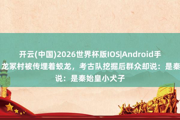 开云(中国)2026世界杯版IOS|Android手机app下载 龙冢村被传埋着蛟龙，考古队挖掘后群众却说：是秦始皇小犬子