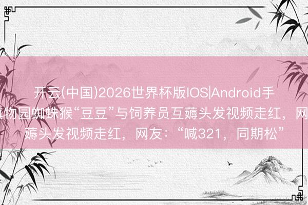 开云(中国)2026世界杯版IOS|Android手机app下载 上海野天真物园蜘蛛猴“豆豆”与饲养员互薅头发视频走红,网友:“喊321,同期松”