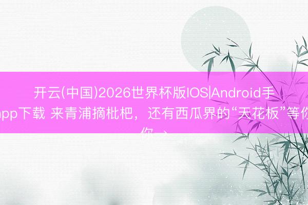 开云(中国)2026世界杯版IOS|Android手机app下载 来青浦摘枇杷，还有西瓜界的“天花板”等你→