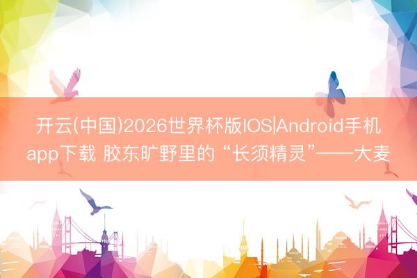 开云(中国)2026世界杯版IOS|Android手机app下载 胶东旷野里的 “长须精灵”——大麦