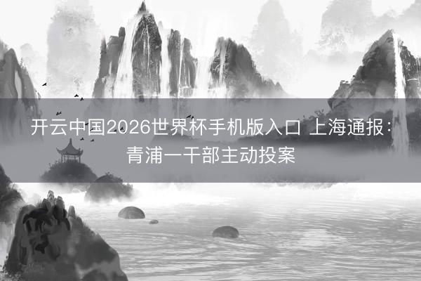 开云中国2026世界杯手机版入口 上海通报：青浦一干部主动投案