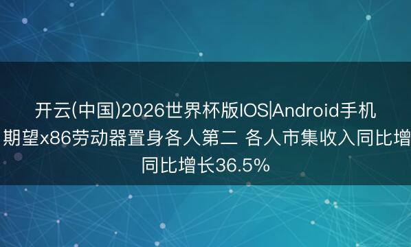 开云(中国)2026世界杯版IOS|Android手机app下载 期望x86劳动器置身各人第二 各人市集收入同比增长36.5%