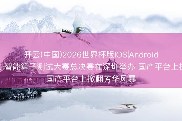 开云(中国)2026世界杯版IOS|Android手机app下载 智能算子测试大赛总决赛在深圳举办 国产平台上掀翻芳华风暴