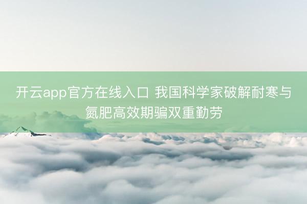 开云app官方在线入口 我国科学家破解耐寒与氮肥高效期骗双重勤劳